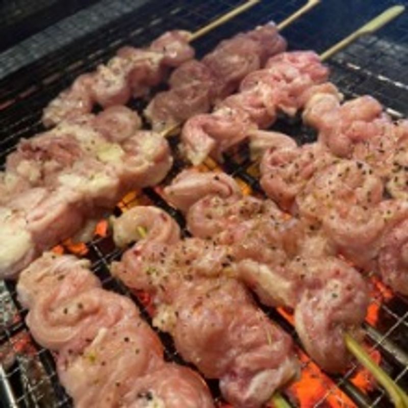 [다물꼬치] 닭목살꼬치 250g 5꼬치(면세)