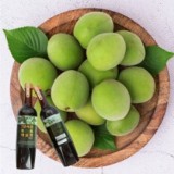 [전우통상] 7년숙성 하동 매실원액(과세)