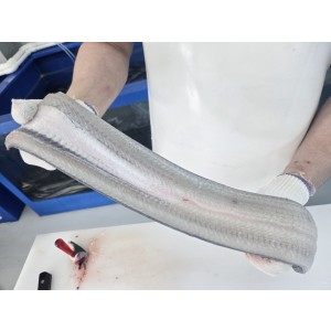 국내산 풍천민물장어 순살500g 소스2종(데리야끼+매운) ,초생강1개