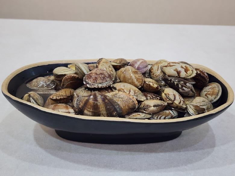 큼직 바지락 1kg